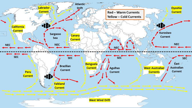 ocean currents warm and cold