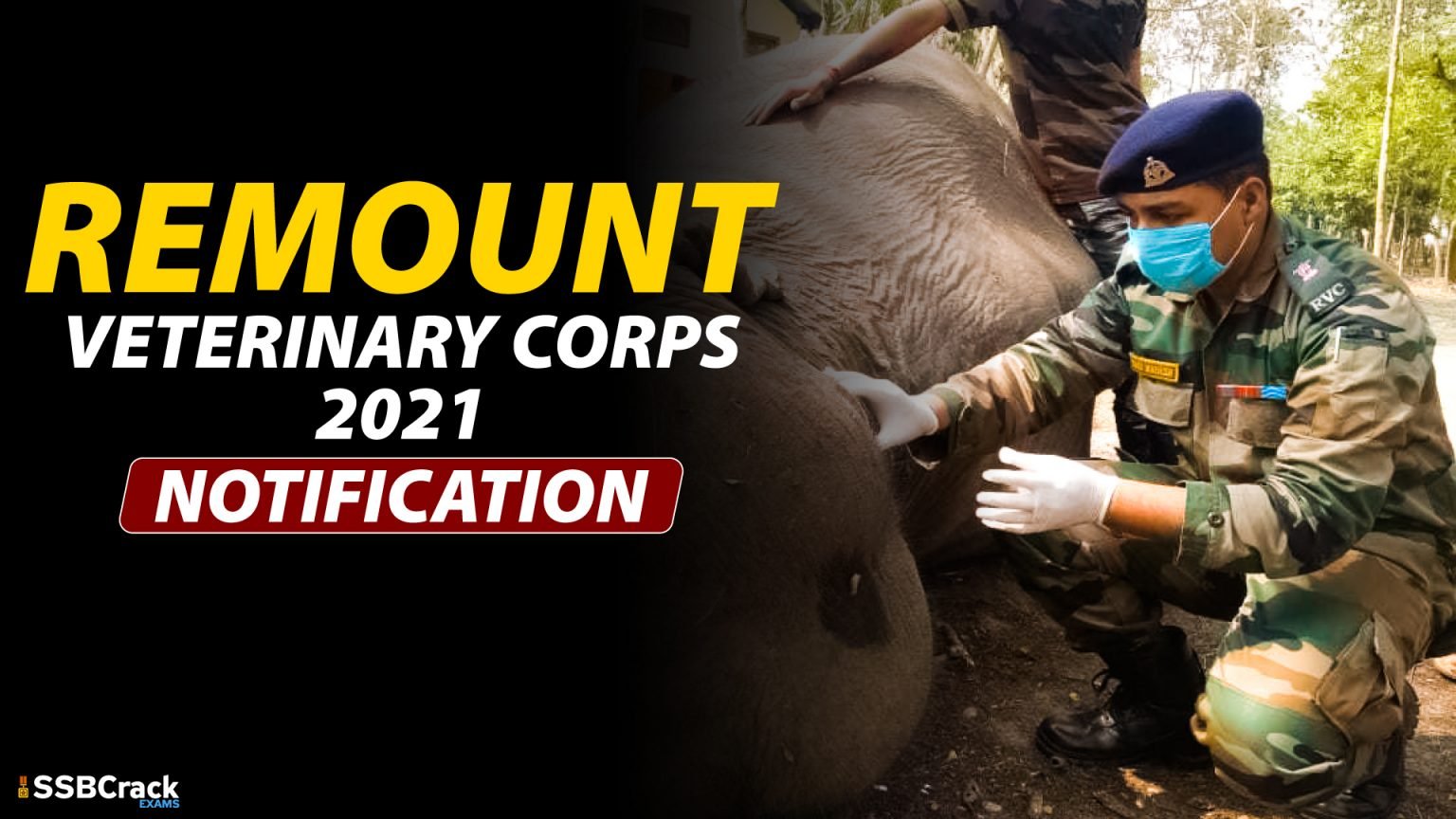 Remount Veterinary Corps Recruitment 2019 Remount Veterinary Corps Notification 2021 - Indian Army Recruitment 2021