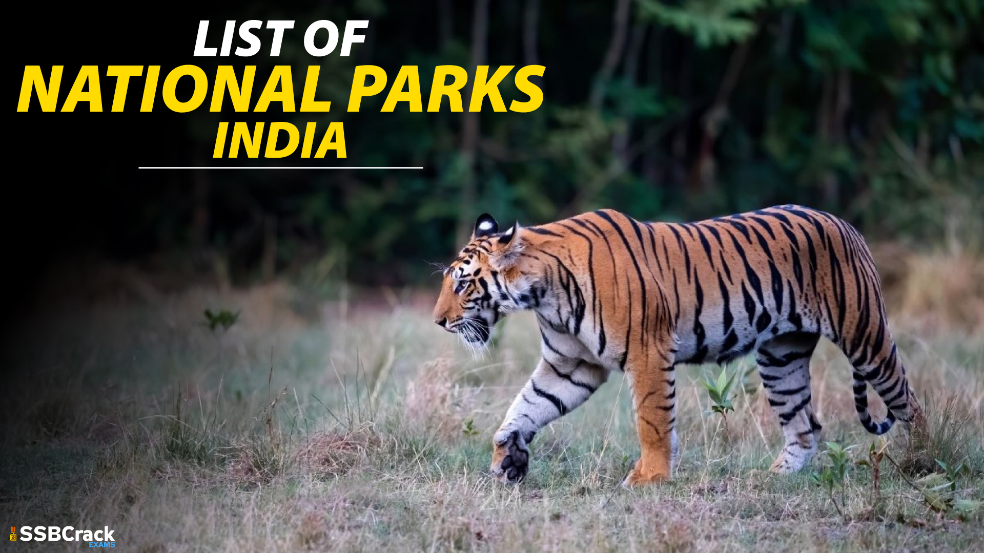 List Of National Parks In India