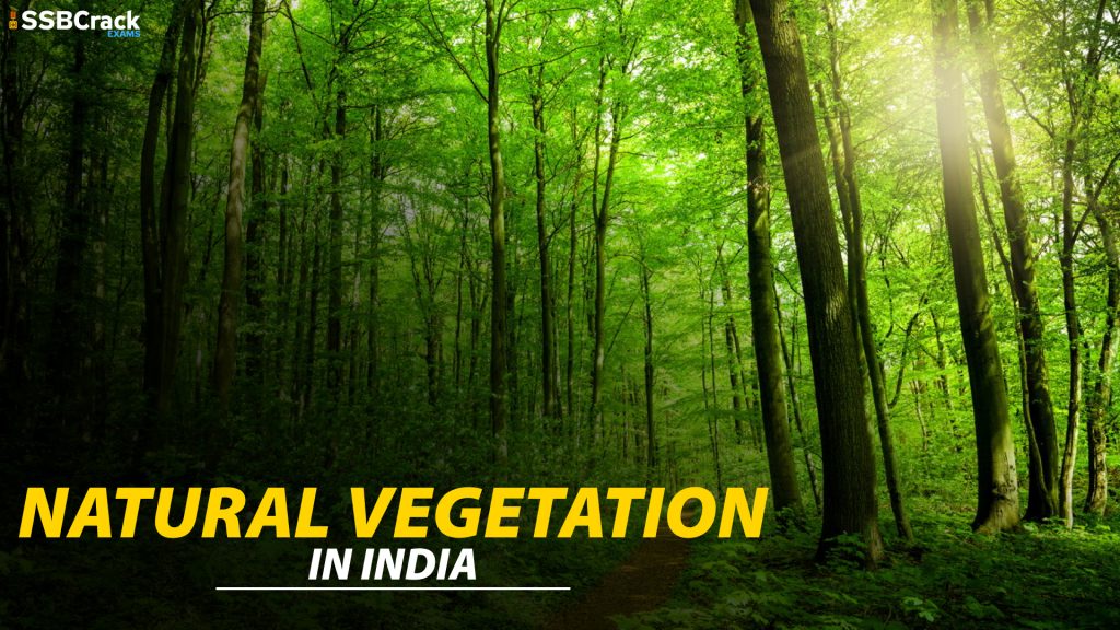 Natural Vegetation in India 1
