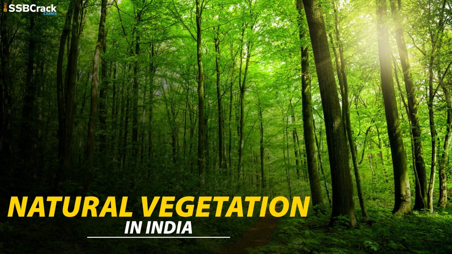 Natural Vegetation Of India Geography Notes For All Defence Exams natural-vegetation-of-india-geography-notes-for-all-defence-exams