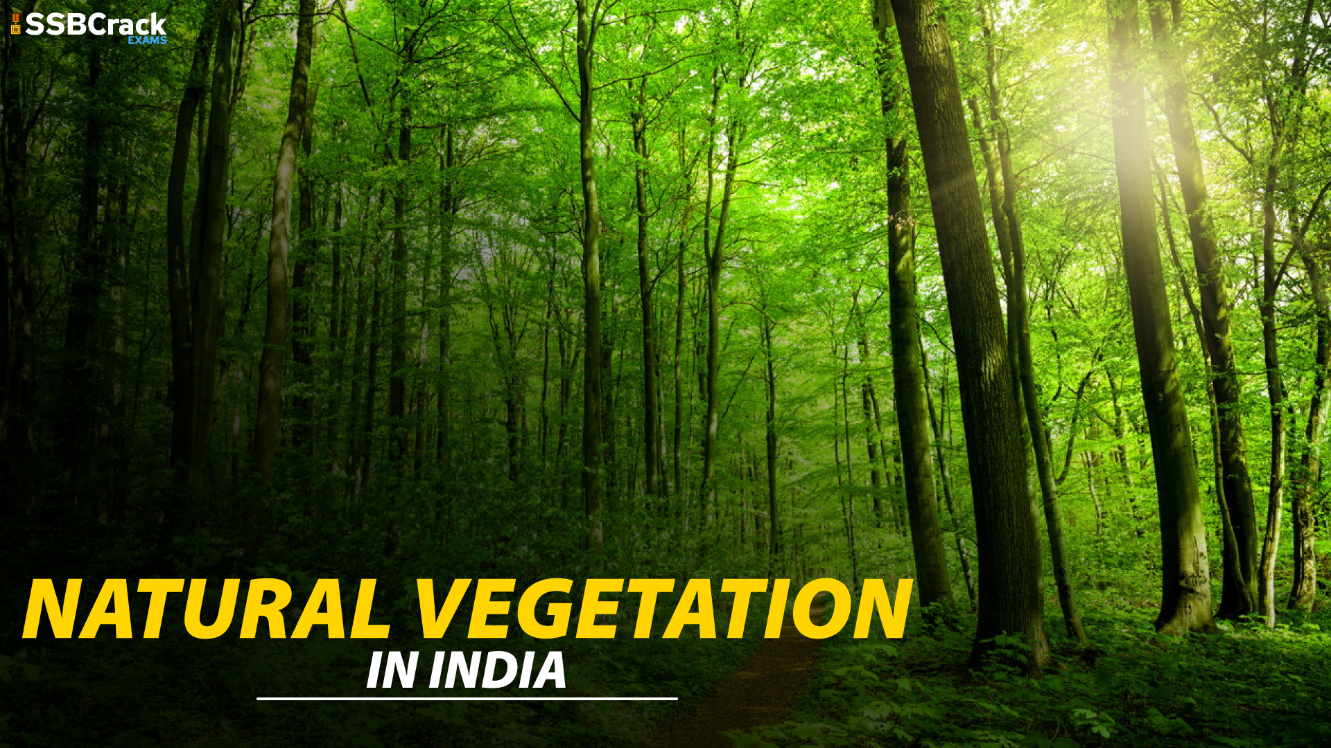 natural-vegetation-of-india-geography-notes-for-all-defence-exams