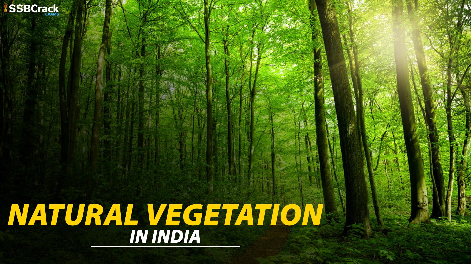 How Many Types Of Vegetation Are There In India