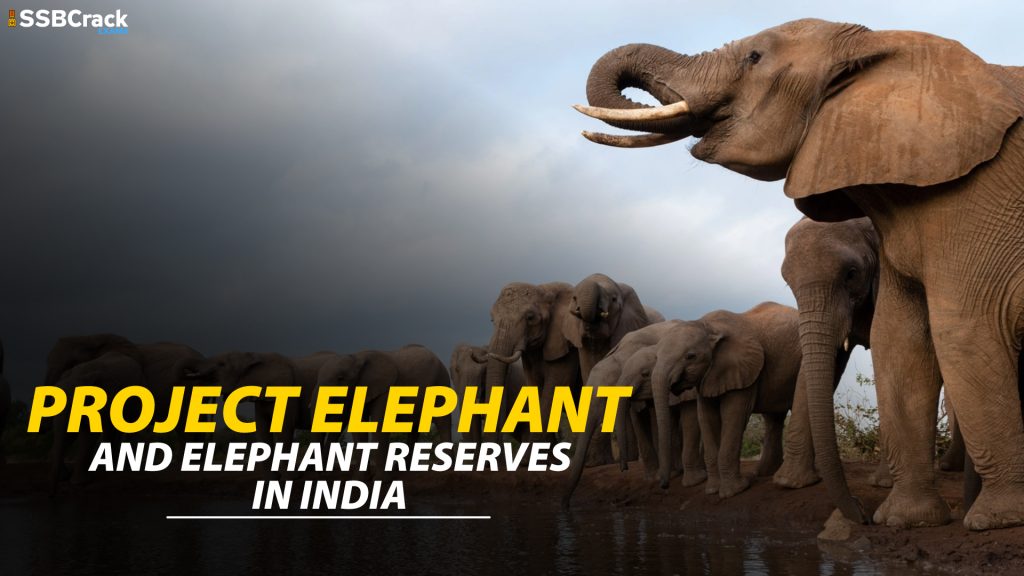 Project Elephant and Elephant Reserves In India
