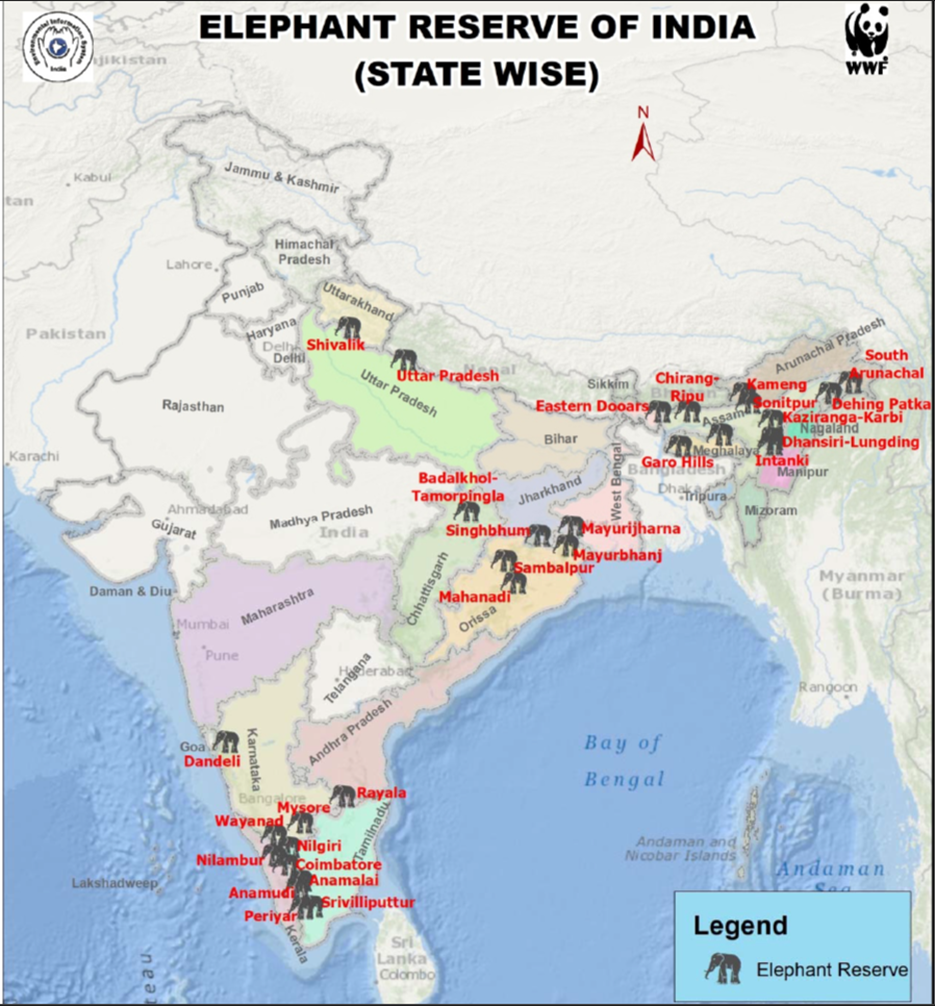 Project Elephant and Elephant Reserves In India