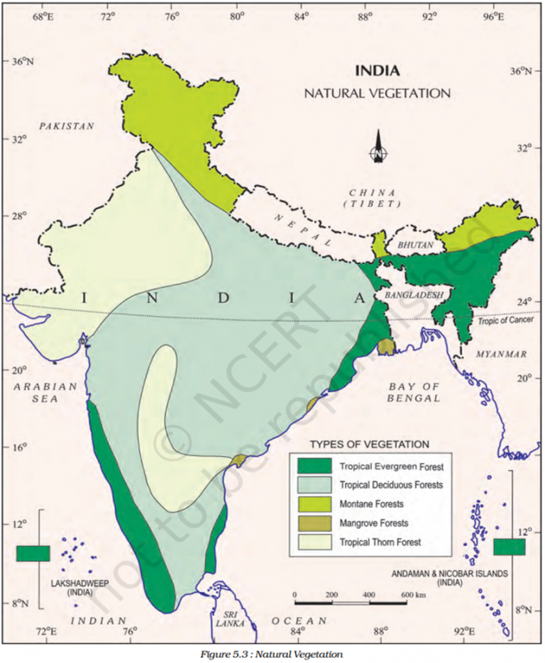 Natural Vegetation Of India: Geography Notes For All Defence Exams