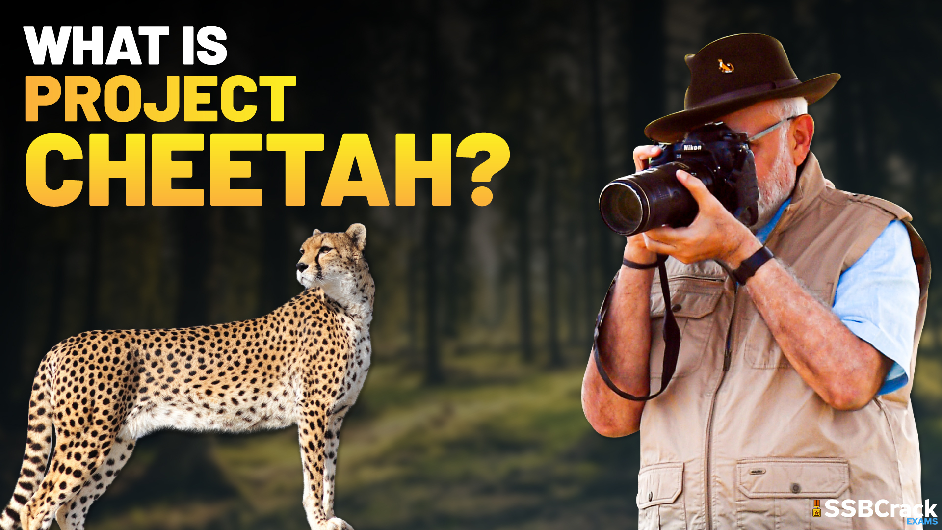 essay on project cheetah