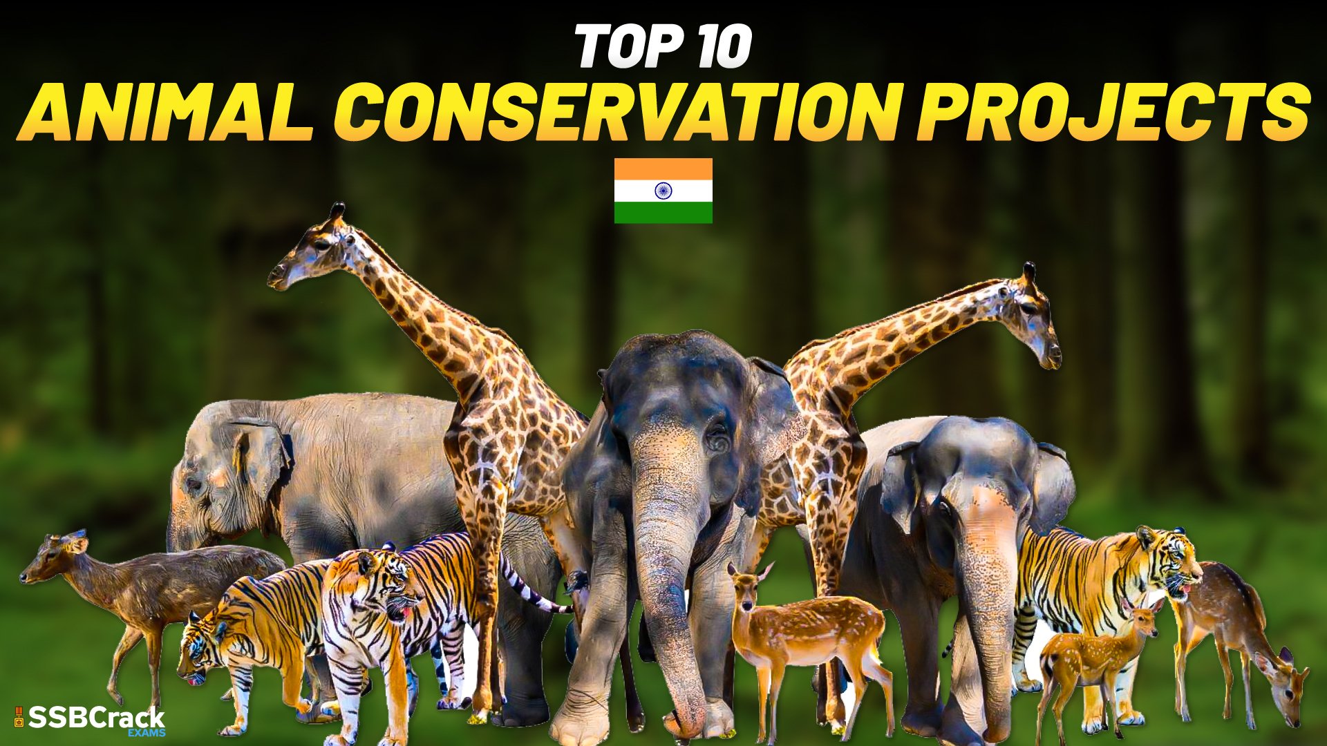 top-10-animal-conservation-projects-in-india-must-watch