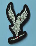 Controllers Badge 1