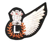 Electronic System Operators Aircrew Badge 1