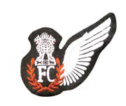 IAF FC Aircrew Badge