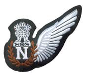 IAF Navigator Badge 1