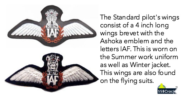 Indian air force pilot badge 1