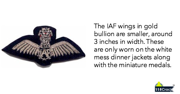Indian air force pilot golden badge