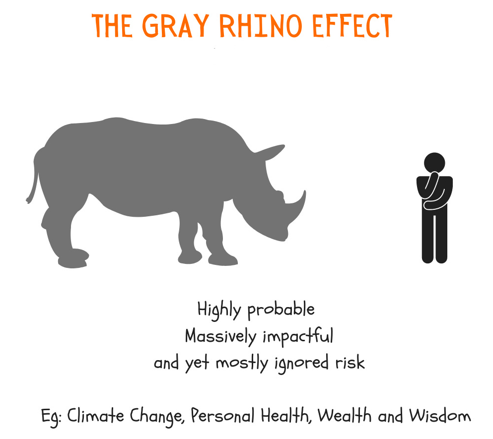 Grey Rhinos