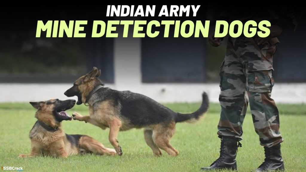 Indian Army Mine Detection Dogs