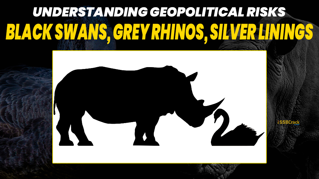 Insights Geopolitical Risks Black Swan Grey Rhinos and Silver Lining 1