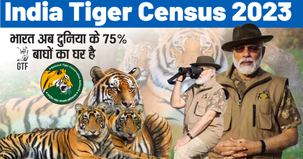 Tiger Census 2023