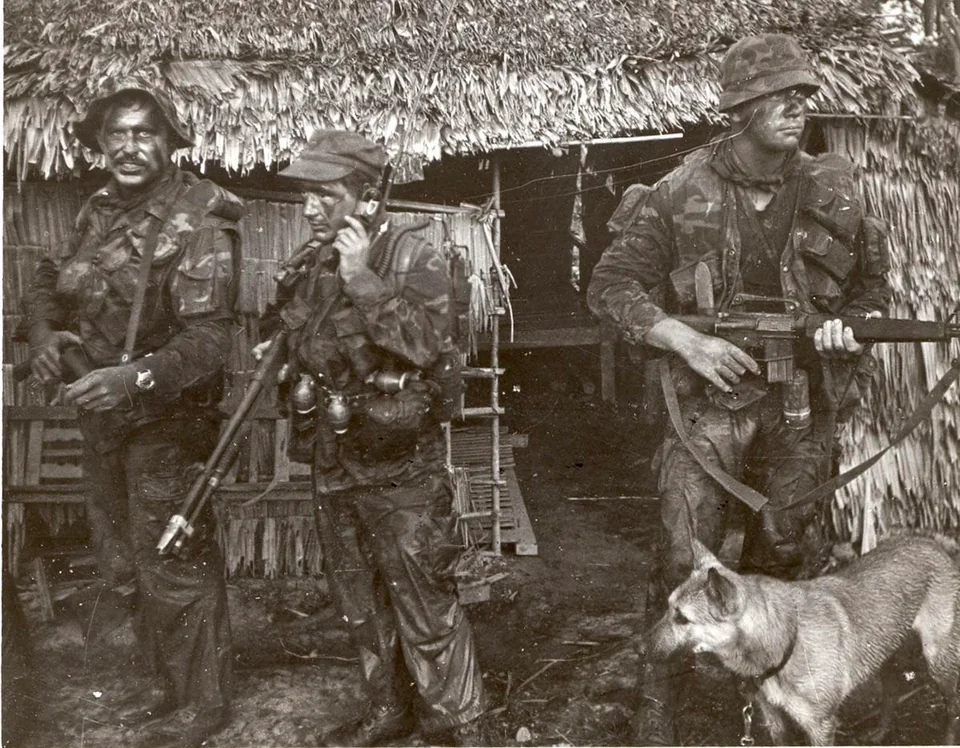 US Navy SEALs in Vietnam with a German Shepherd multipurpose dog