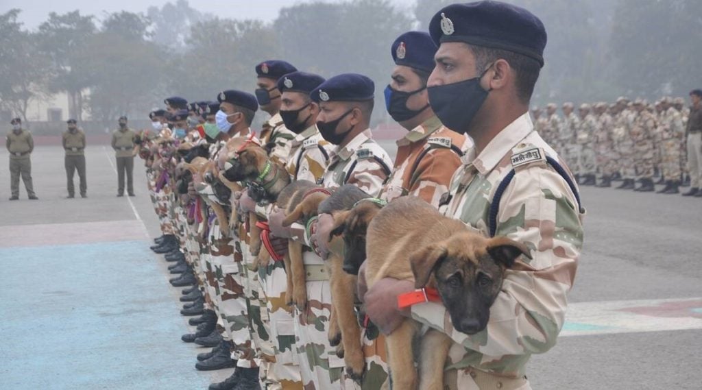 ITBP Veterinary Staff Eligibility Criteria male cadets