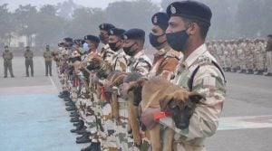 ITBP Veterinary Staff Recruitment_th