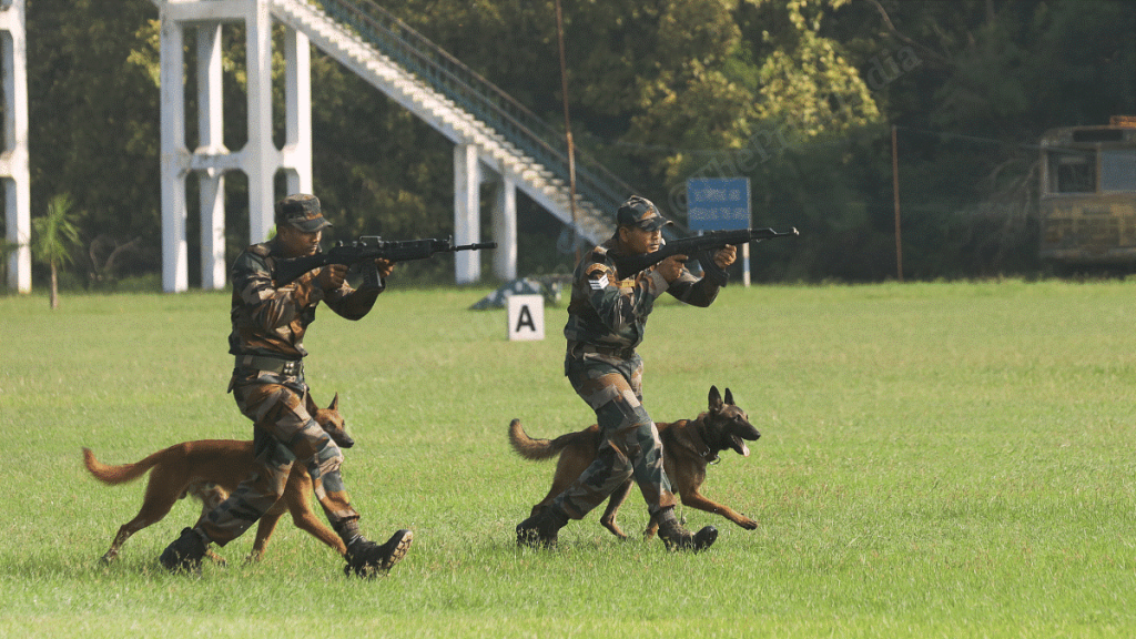 Why Dogs are Important for Indian Army Soldiers