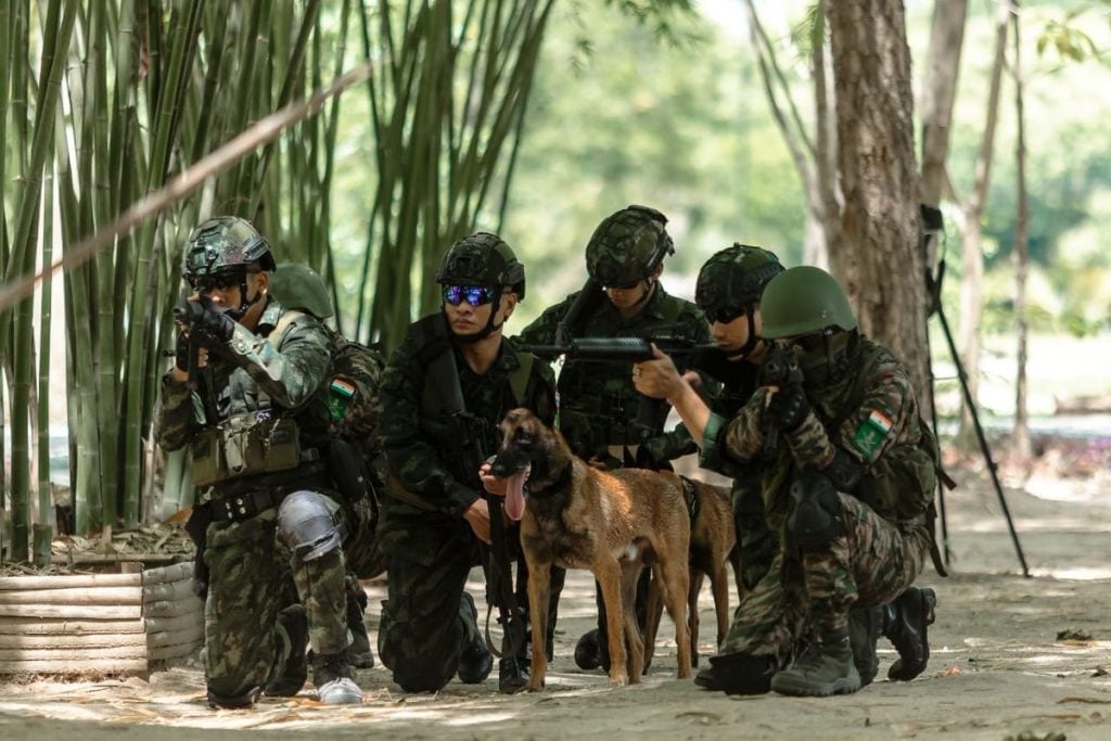 Why Dogs are Important for Indian Army Soldiers Canine Soldiers in Special Operations