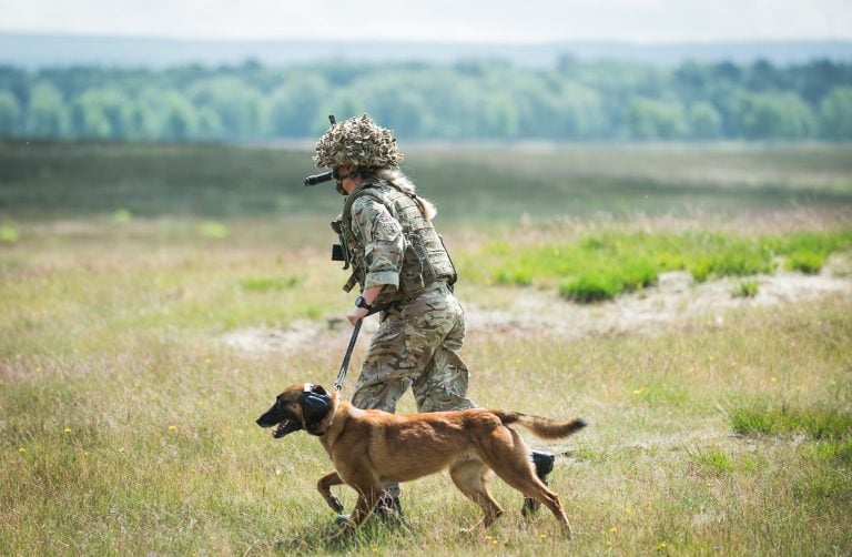 Why Dogs are Important for Indian Army Soldiers_th