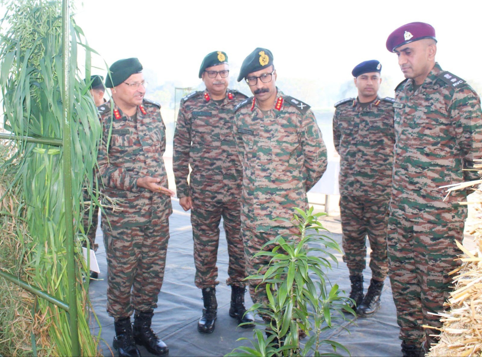 Indian Army's Equine Breeding Facility Receives High Praise During Review by Lt Gen VMB Krishnan