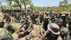 CRPF's Operation BlackForest Targets Maoist Strongholds in Chhattisgarh-Telangana Border