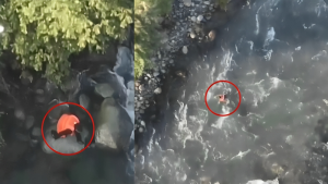 Controversy Erupts in Kulgam After Local Man Drowns Attempting to Escape Security Forces