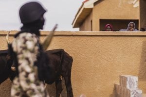 Jihadist Raid in Northeast Nigeria Kills Five Troops from Multinational Coalition
