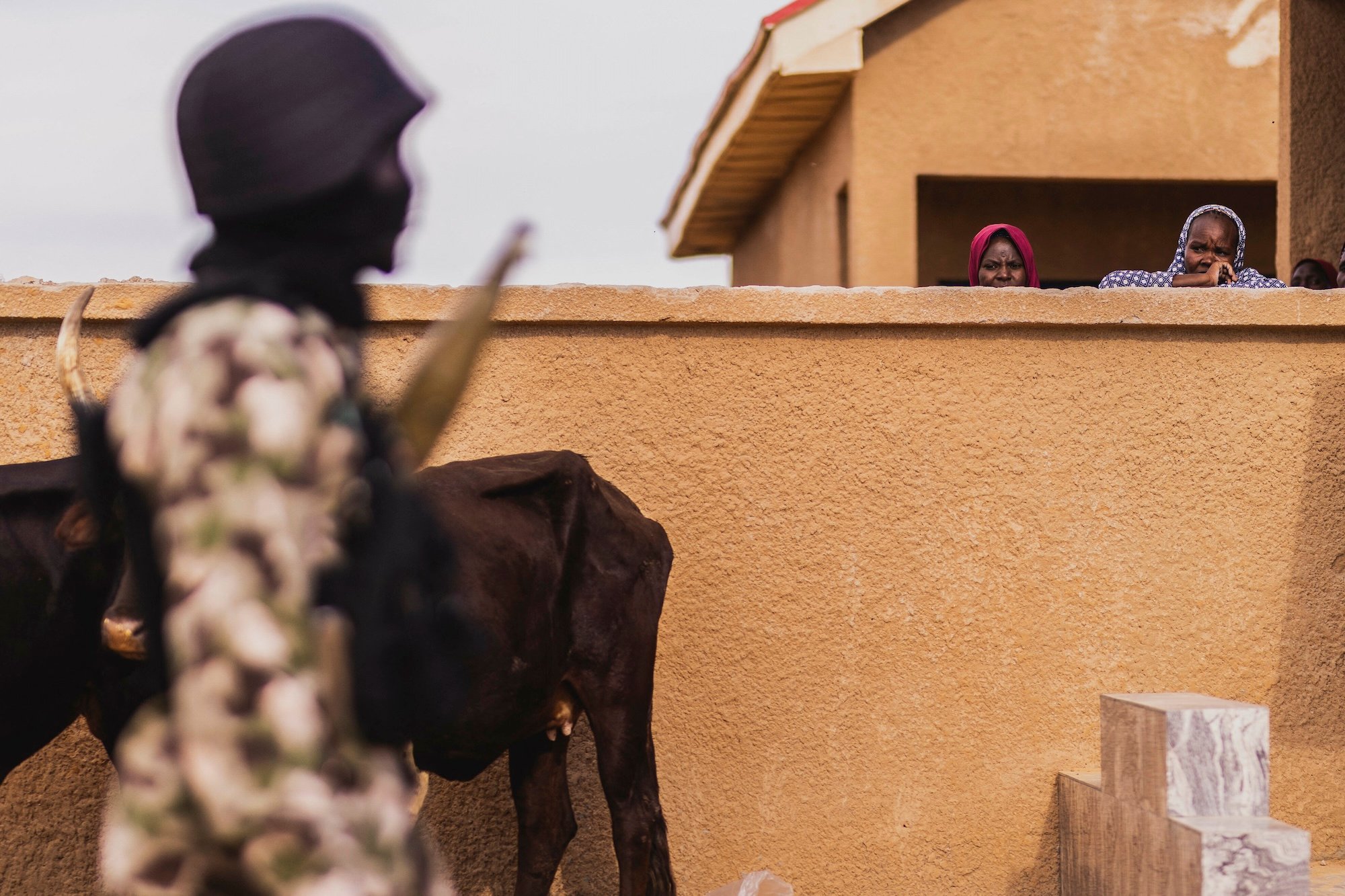 Jihadist Raid in Northeast Nigeria Kills Five Troops from Multinational Coalition