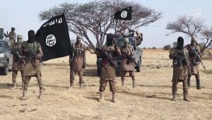 Northeast Nigeria Governors Urge Rethink of Counter-Insurgency Strategy Amid Rising Attacks
