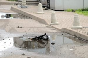 Russia Intercepts 159 Ukrainian Drones Targeting Multiple Regions