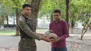 Indian Army Rescues Critically Endangered Pangolin Along Indo-Pak Border