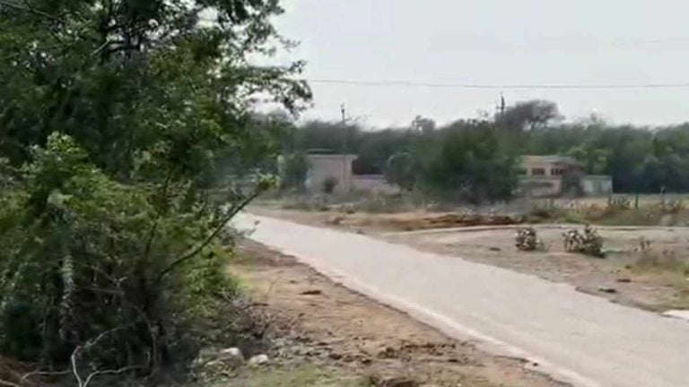 Mother and son booked for fraudulently selling IAF airstrip near Pakistan border