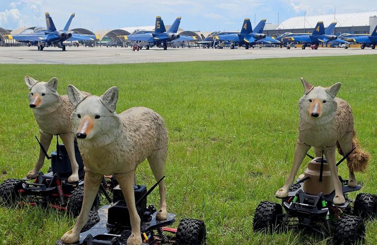 Robot Coyotes Are the US Army’s Newest Trick for Protecting Aircraft