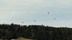 Auterion Launches Nemyx for Coordinated Drone Swarm Operations