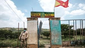 Tigray Forces Accuse Ethiopian Government of Drone Strikes, Breaching Peace Deal