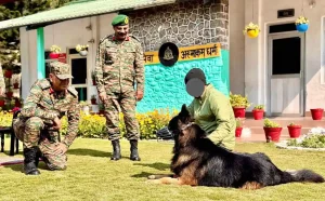 Hero Army Dog Tyson Recovering After Eliminating 3 Terrorists