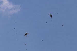Perennial Autonomy Secures $500 Million US Military Contract for Counter-Drone Systems