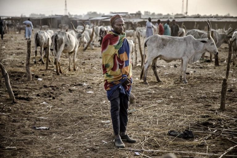 Gunmen Kill 17 Farmers in Northwestern Nigeria During Raids