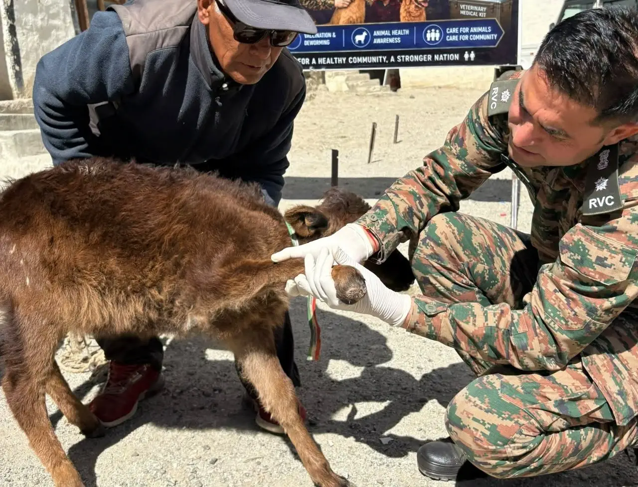 Indian Army Conducts Veterinary Camps