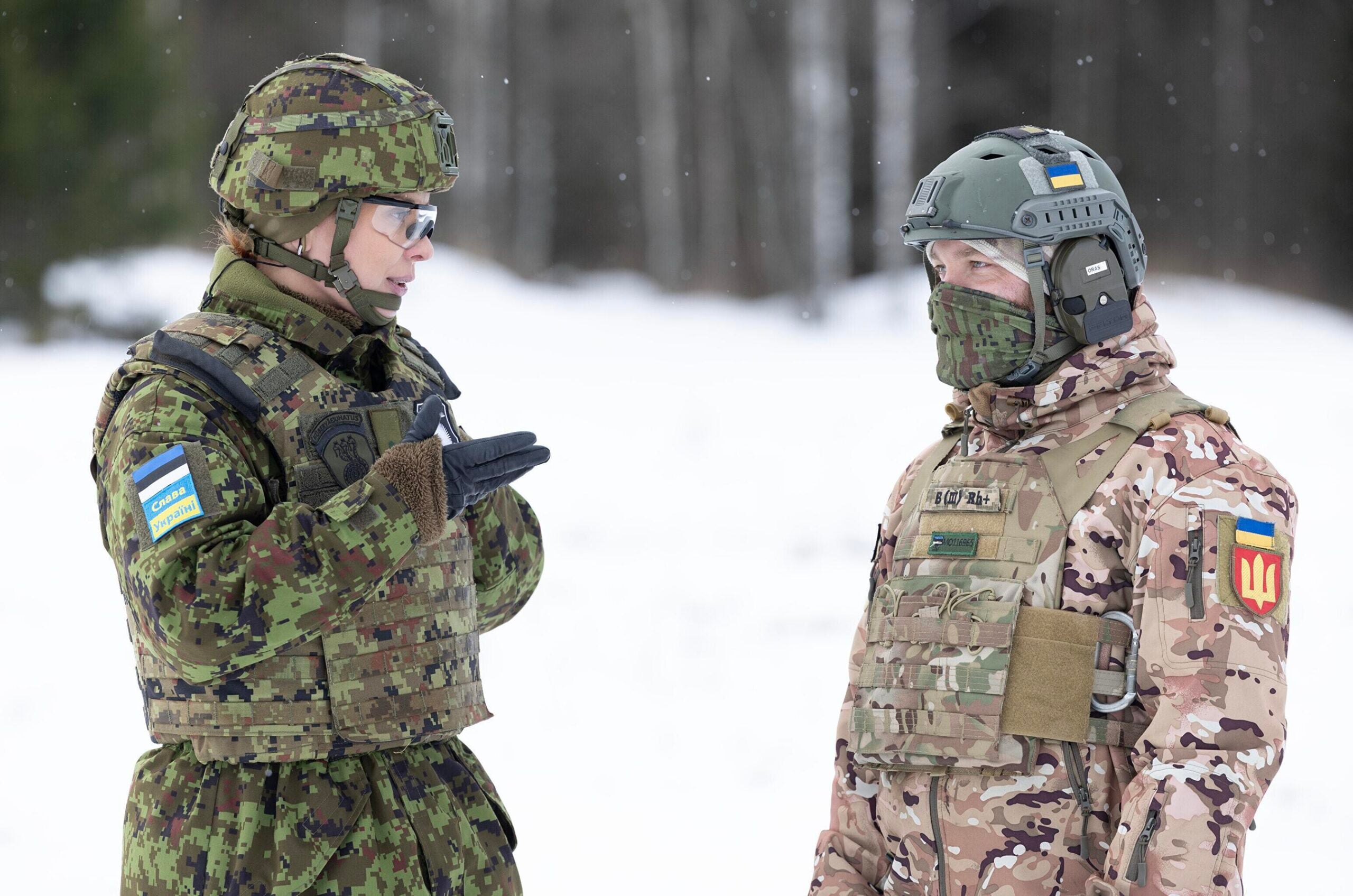 Ukraine and Estonia Strengthen Drone Partnership with New Agreement