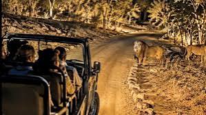 Gujarat to Get Asias First Desert Themed Night Safari
